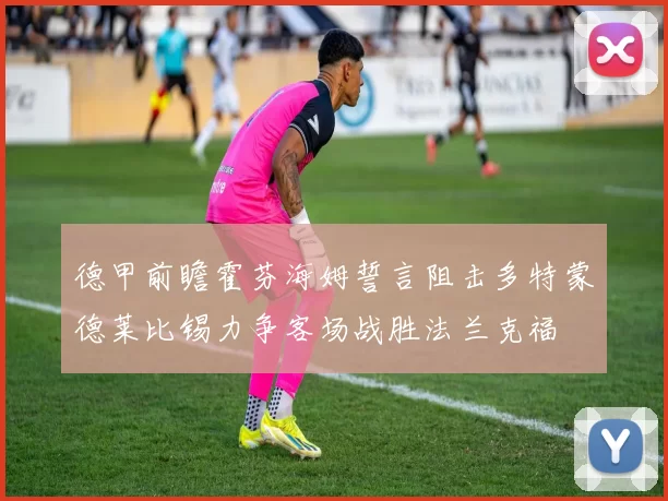 德甲前瞻霍芬海姆誓言阻击多特蒙德莱比锡力争客场战胜法兰克福