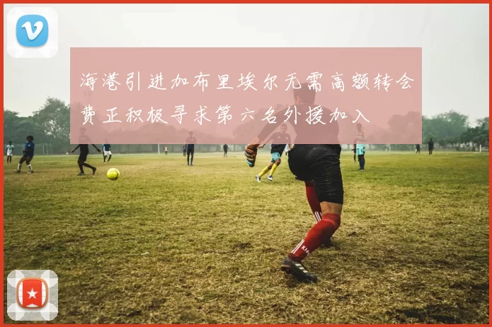 海港引进加布里埃尔无需高额转会费正积极寻求第六名外援加入